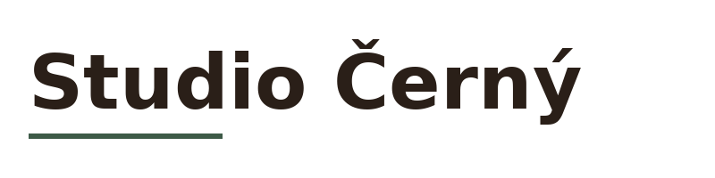 Studio Černý logo